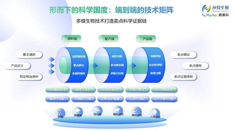 荨麻疹:一种常见的皮肤疾病现象
