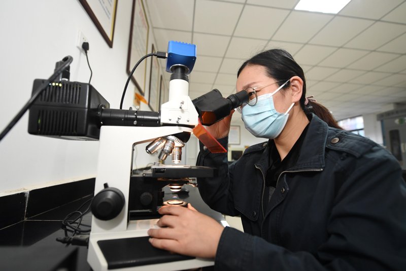 荨麻疹：一种常见的皮肤病现象